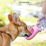 PawsHydrate All-in-One Bottle