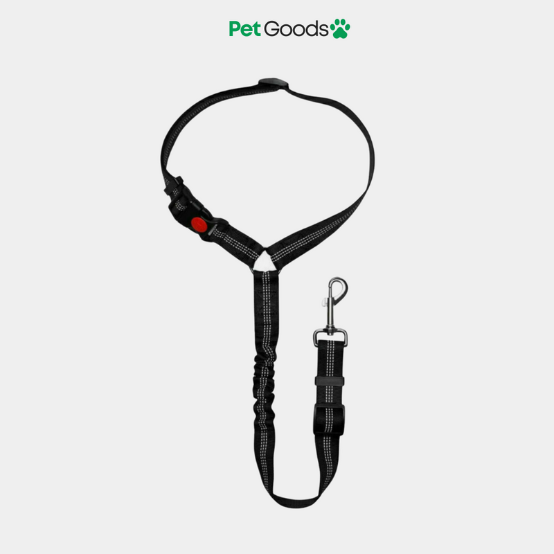 Leashbelt: 2-In-1 Pet Seat Belt And Leash