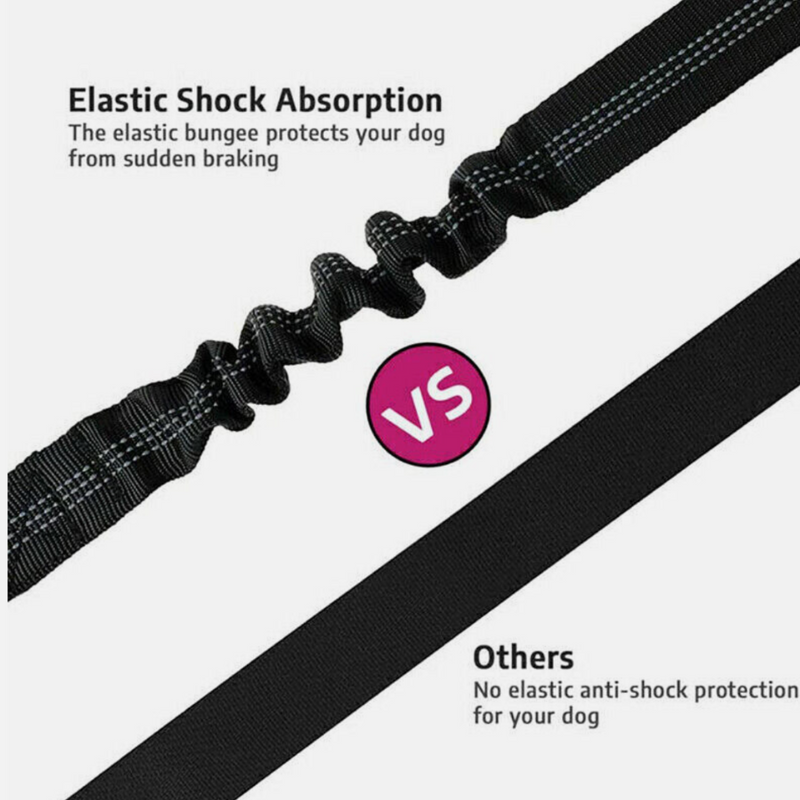 Leashbelt: 2-In-1 Pet Seat Belt And Leash