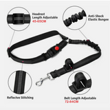 Leashbelt: 2-In-1 Pet Seat Belt And Leash