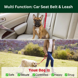 Leashbelt: 2-In-1 Pet Seat Belt And Leash