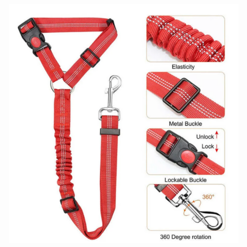 Leashbelt: 2-In-1 Pet Seat Belt And Leash