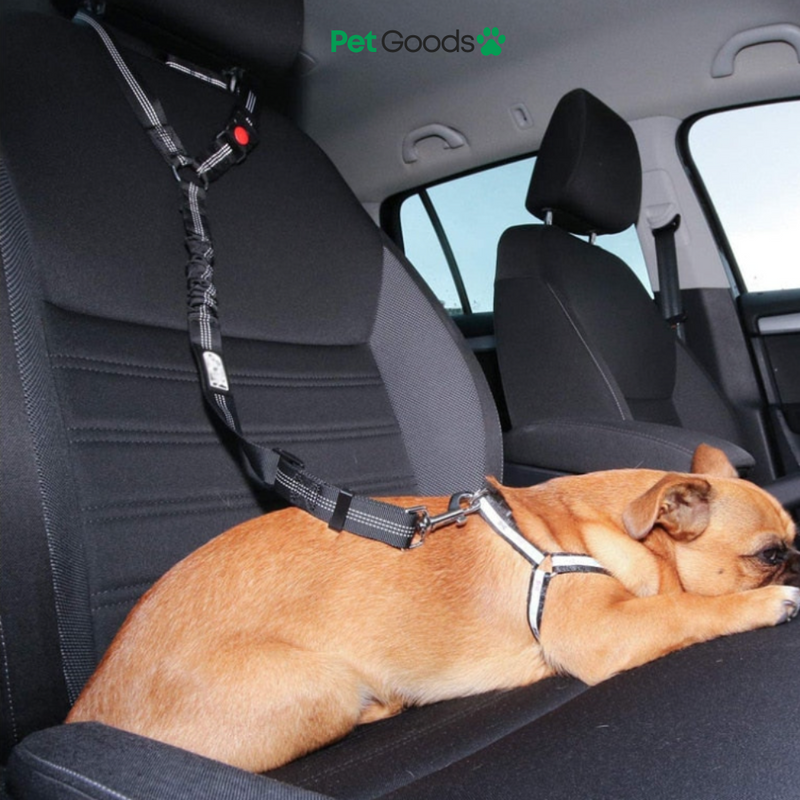 Leashbelt: 2-In-1 Pet Seat Belt And Leash