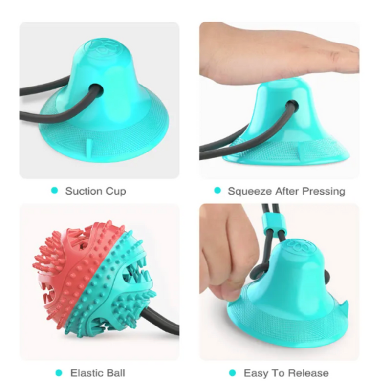 ChewyClean Suction Cup Treat Toy