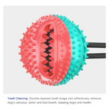 ChewyClean Suction Cup Treat Toy