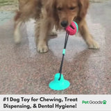 ChewyClean Suction Cup Treat Toy